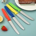 PP Handle Steak Knife – KF-PP006 image 2